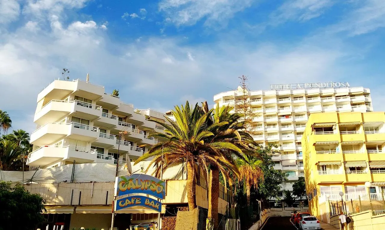 Apartamento Under The Palm Playa de las Américas