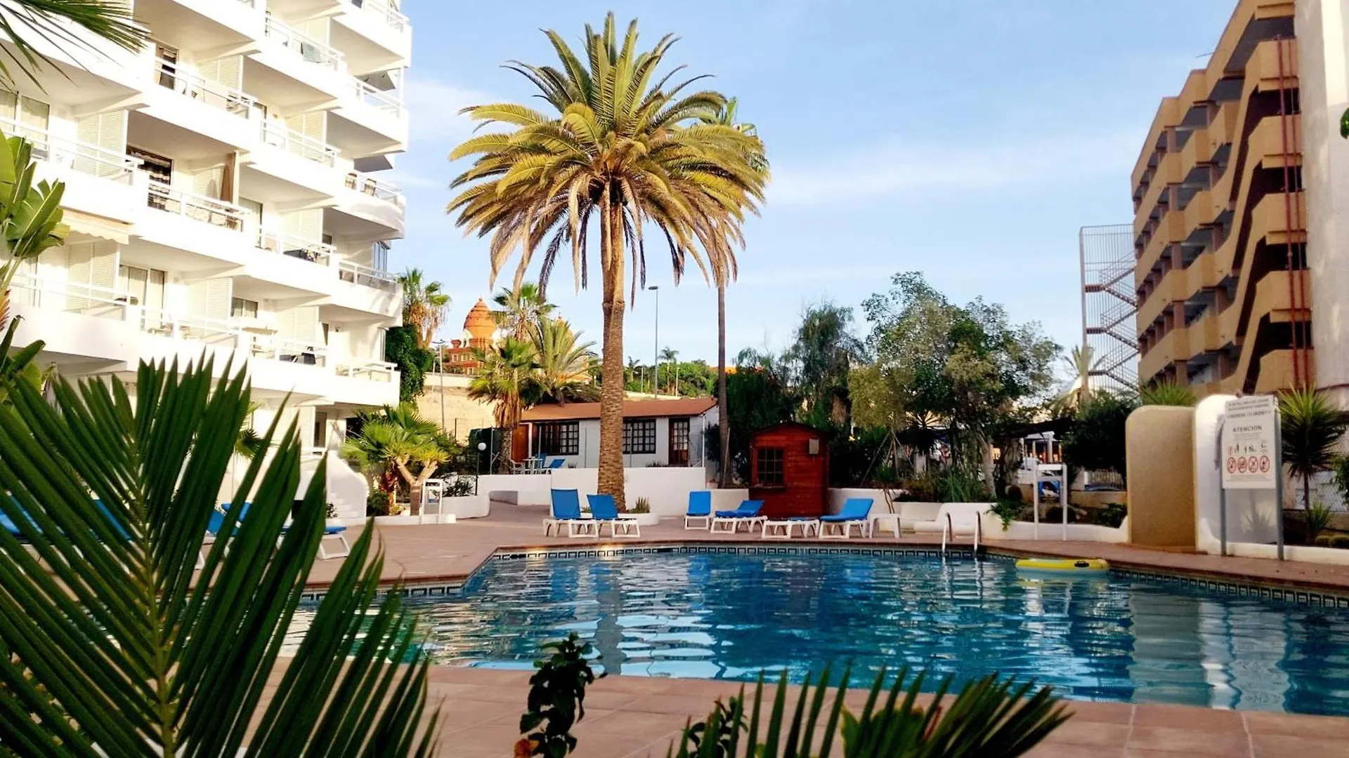 Under The Palm Apartment Playa de las Americas  0*, Playa de las Americas (Tenerife)