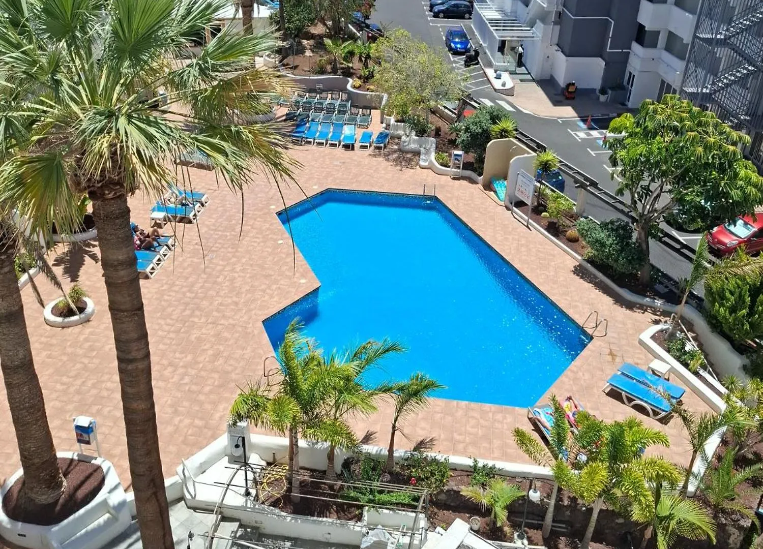 Under The Palm Apartment Playa de las Americas